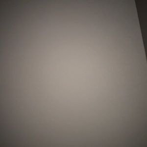 Meet your Posher, Ramonita